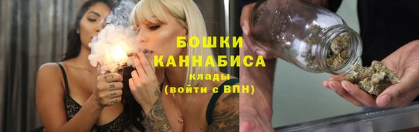 шишки Алексин