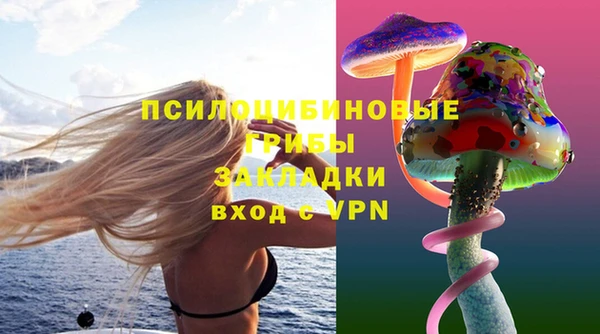 шишки Алексин