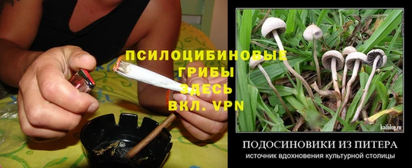 spice Алзамай