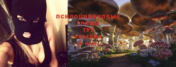 шишки Алексин