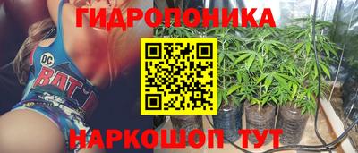 прущие крисы Севастополь