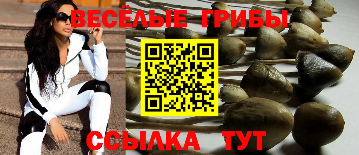 купить  сайты  Вход с VPN  Тобольск  Псилоцибиновые грибы Magic Shrooms 
